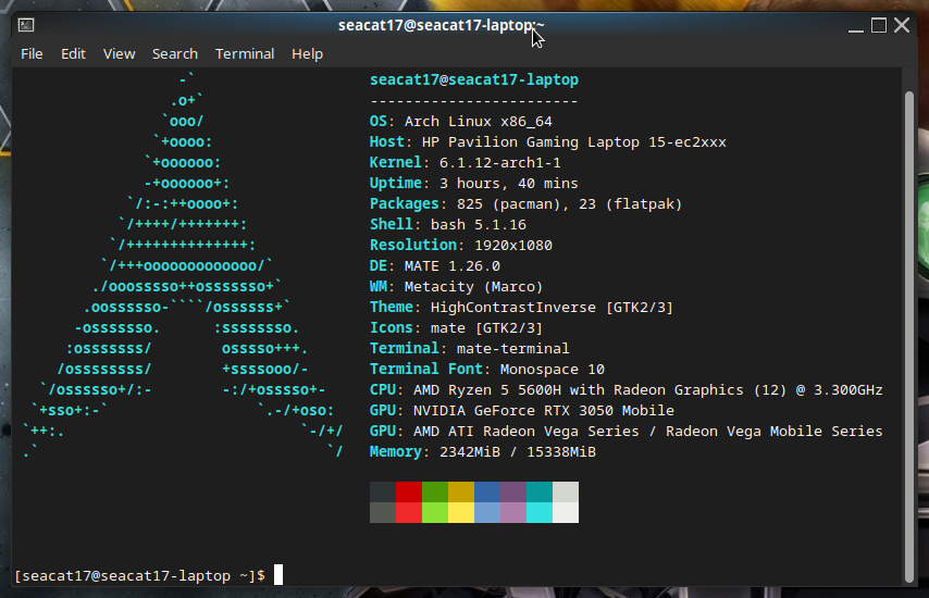 IMAGE: [MATE terminal with Neofetch command output in it. Arch linux is installed. Everything is fine.]